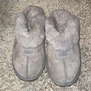 Gray Ugg Slippers